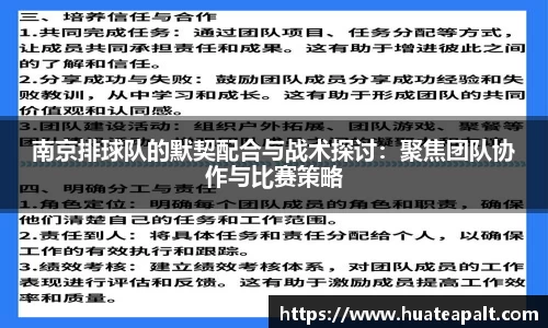 南京排球队的默契配合与战术探讨：聚焦团队协作与比赛策略